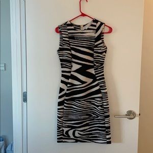 Calvin Klein Size 2 Zebra Dress